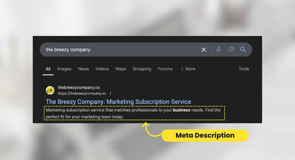 example of what a meta description is for the breezy company